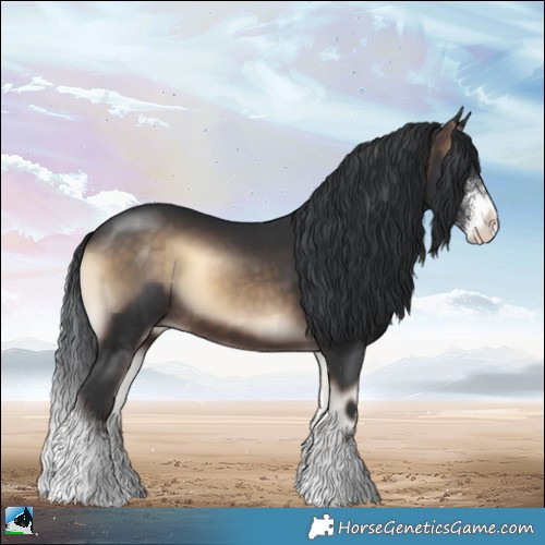 Horse Color:Brown Onyx Sabino 