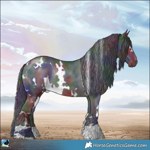 Horse Color:Nacre White Spotted Black Rabicano 