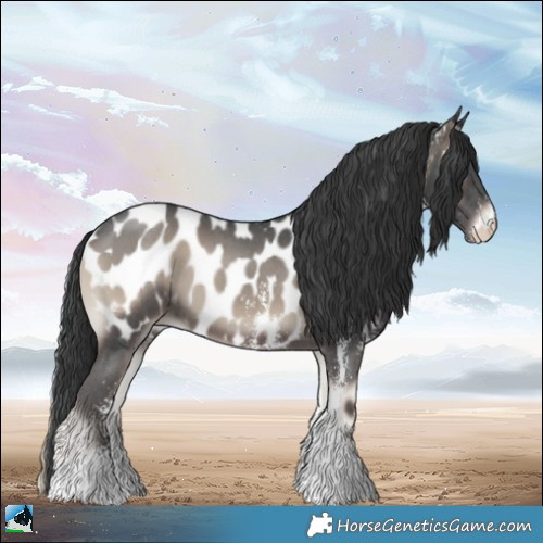 Horse Color:Blue Onyx Sabino Near Leopard 