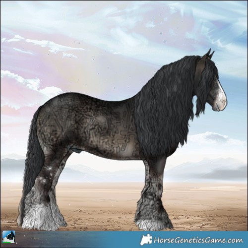 Horse Color:Blue Onyx Ice Sabino Rabicano 