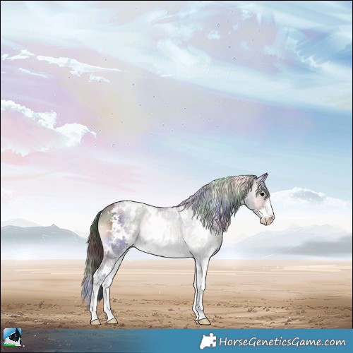 Horse Color:Nacre White Spotted Brown Onyx Sabino Rabicano