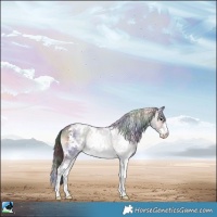 Horse Color:Nacre White Spotted Brown Onyx Sabino Rabicano 