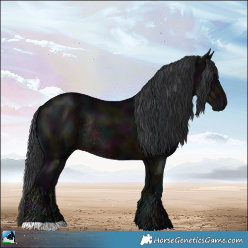 Horse Color:Midnight Brown Rabicano 