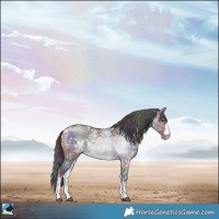 Horse Color:Nacre Grullo Ice Sabino Rabicano 