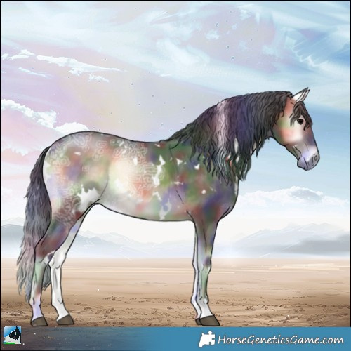 Horse Color:Nacre White Spotted Brown Ice Onyx Rabicano 