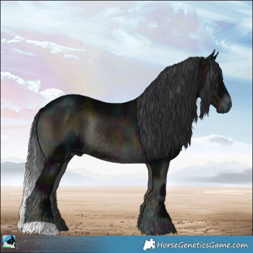 Horse Color:Midnight Brown Onyx Rabicano 