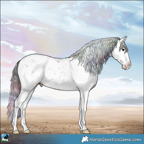 Horse Color:Nacre Brown Onyx Sabino Splash Rabicano 