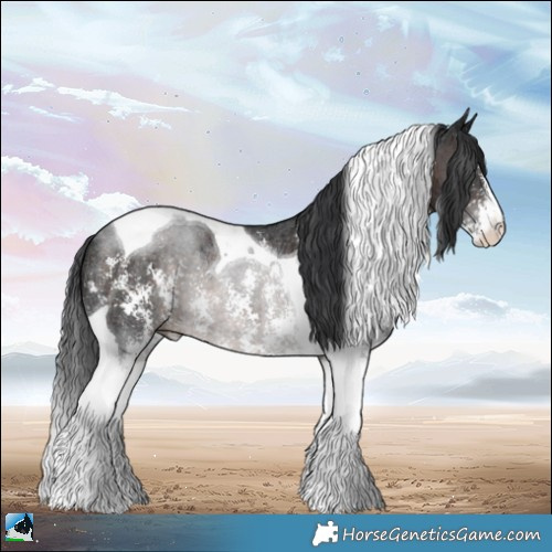 Horse Color:Brown Ice Sabino Tobiano Rabicano 