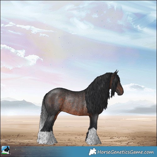 Horse Color:Brown Rabicano 