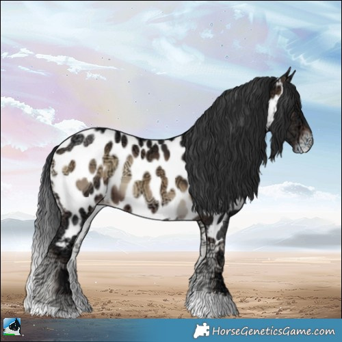 Horse Color:Brown Ice Onyx Sabino Near Leopard Rabicano 