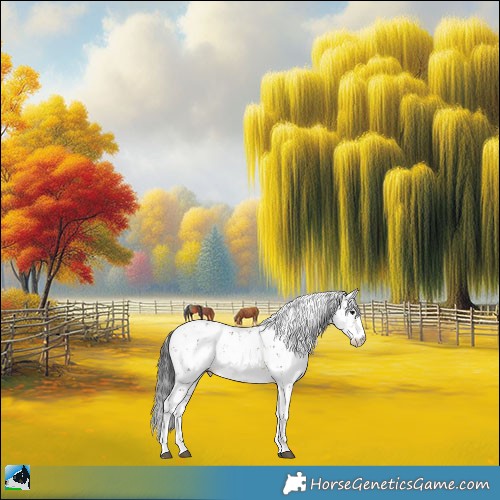 Horse Color:Buckskin Sabino Rabicano 