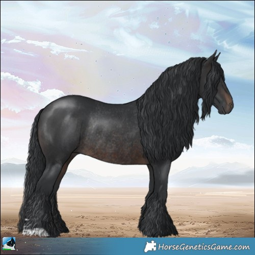 Horse Color:Brown Rabicano 