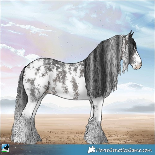 Horse Color:Brown Ice Sabino Rabicano 