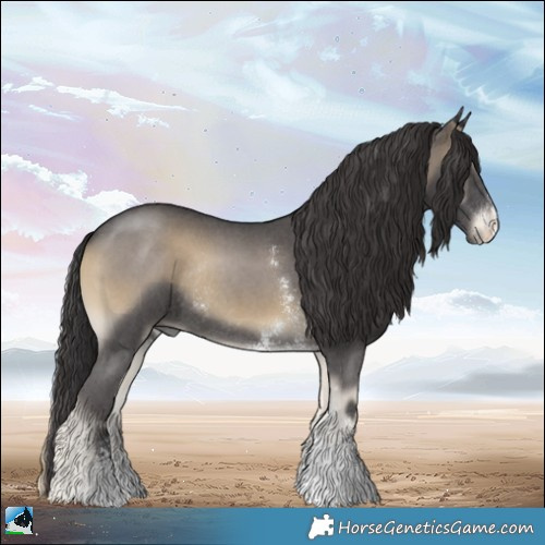 Horse Color:Smoky Blue Onyx Sabino Rabicano 