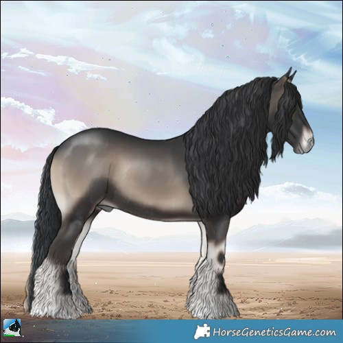 Horse Color:Blue Onyx Rabicano 