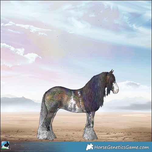 Horse Color:Nacre Buckskin Ice Onyx Sabino Rabicano