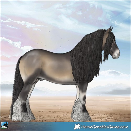 Horse Color:Smoky Blue Onyx Rabicano 