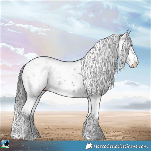 Horse Color:Brown Ice Sabino Rabicano 