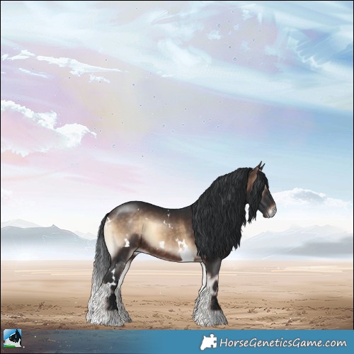 Horse Color:White Spotted Brown Onyx Rabicano