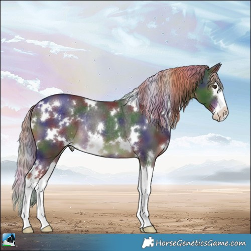 Horse Color:Nacre White Spotted Liver Chestnut Splash Rabicano 