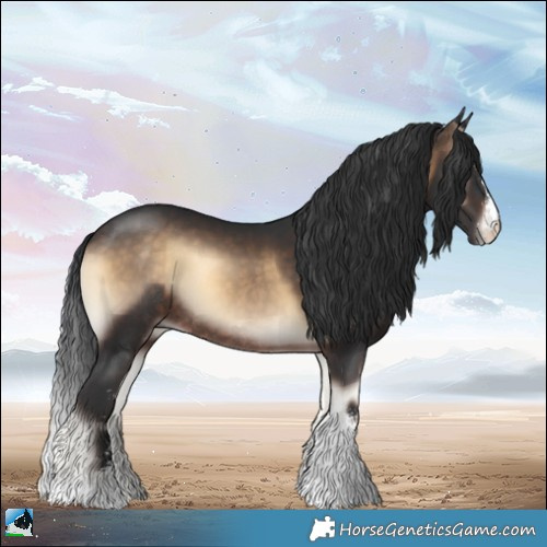 Horse Color:Brown Onyx Sabino Rabicano 