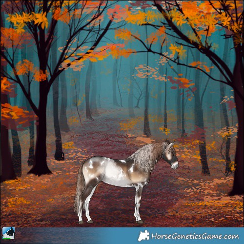 Horse Color:White Spotted Liver Red Onyx Rabicano 