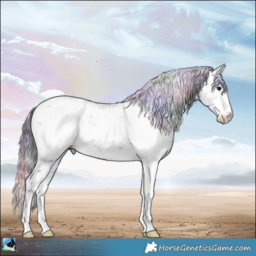 Horse Color:Nacre Brown Sabino Appaloosa Rabicano 