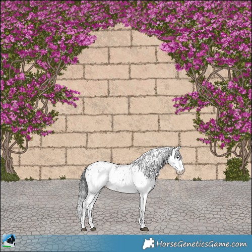 Horse Color:Brown Sabino Rabicano 