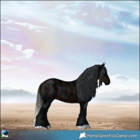 Horse Color:Midnight Brown 