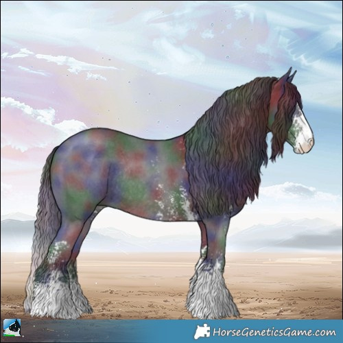 Horse Color:Nacre Brown Sabino Rabicano 