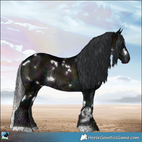 Horse Color:White Spotted Midnight Brown Ice Onyx Rabicano 