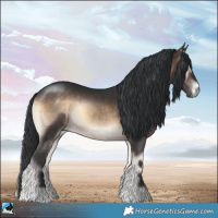 Horse Color:Brown Onyx Rabicano 
