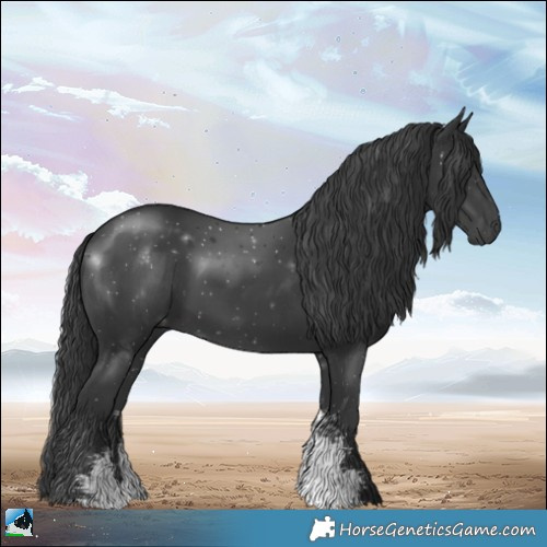 Horse Color:Black Sabino Rabicano 
