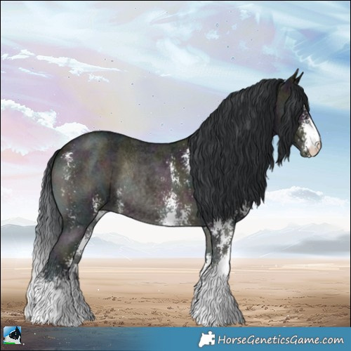 Horse Color:Midnight Brown Onyx Sabino Rabicano 