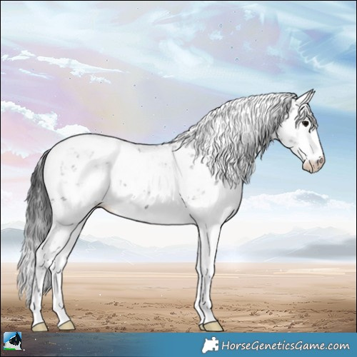 Horse Color:Brown Sabino Rabicano 