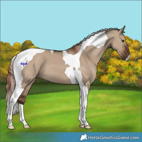 Horse Color:Liver Red Dun Tobiano 