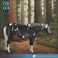 Horse Color:Gray White Spotted Silver Brown Tobiano Rabicano 