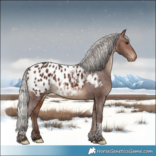 Horse Color:Silver Bay Tobiano Appaloosa Rabicano 
