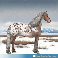 Horse Color:Silver Bay Tobiano Blanket Rabicano 