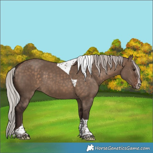 Horse Color:Silver Brown Dun Sabino Tobiano Rabicano 