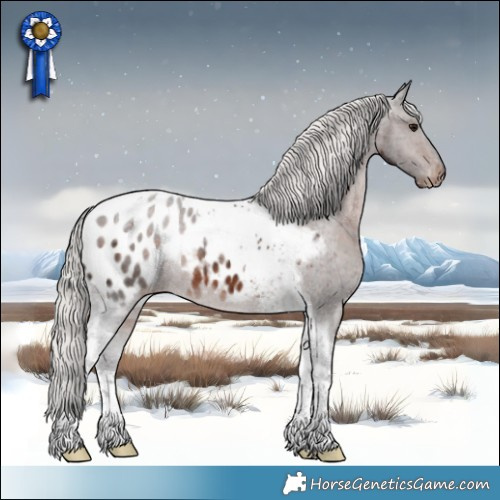 Horse Color:Silver Brown Tobiano Appaloosa Rabicano 