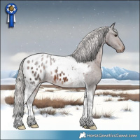 Horse Color:Silver Brown Tobiano Blanket Rabicano 