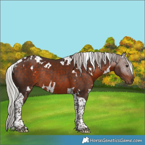 Horse Color:White Spotted Silver Brown Tobiano Rabicano 