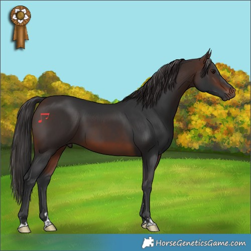 Horse Color:Brown 