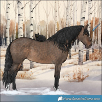 Horse Color:Brown Dun and Brown Dun