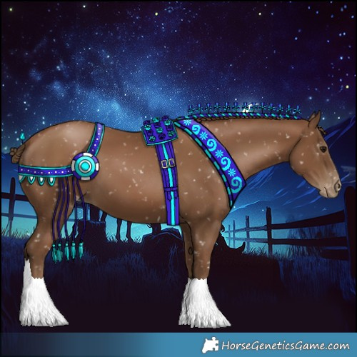 Horse Color:Gray Black Pearl Appaloosa