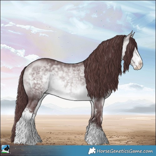 Horse Color:Chocolate Bay Chinchilla Sabino Rabicano 