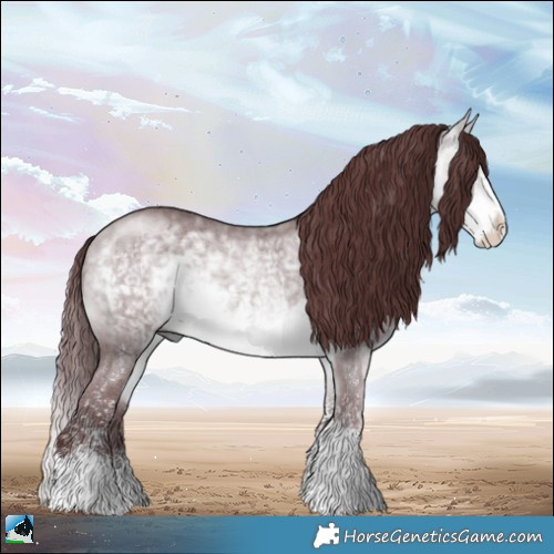 Horse Color:Chocolate Buckskin Chinchilla Sabino Rabicano 