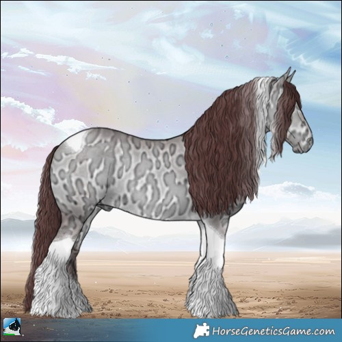 Horse Color:Chocolate Bay Chinchilla Ice Dun Tobiano Rabicano 