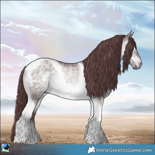 Horse Color:Chocolate Brown Chinchilla Dun Tobiano Rabicano 
